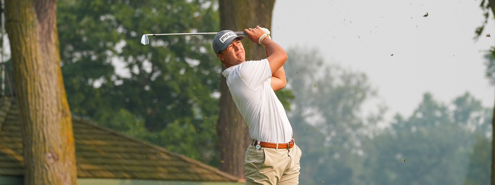 Application Information banner