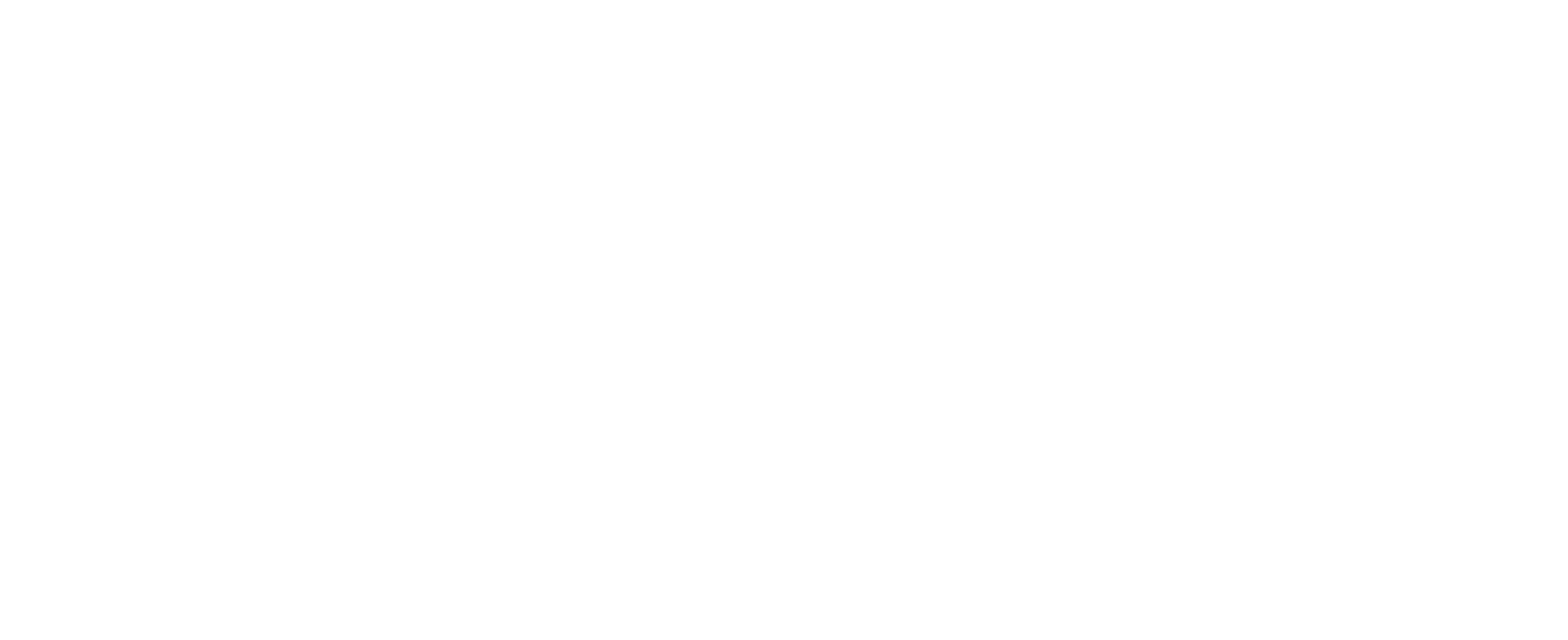Inspire11 Logo